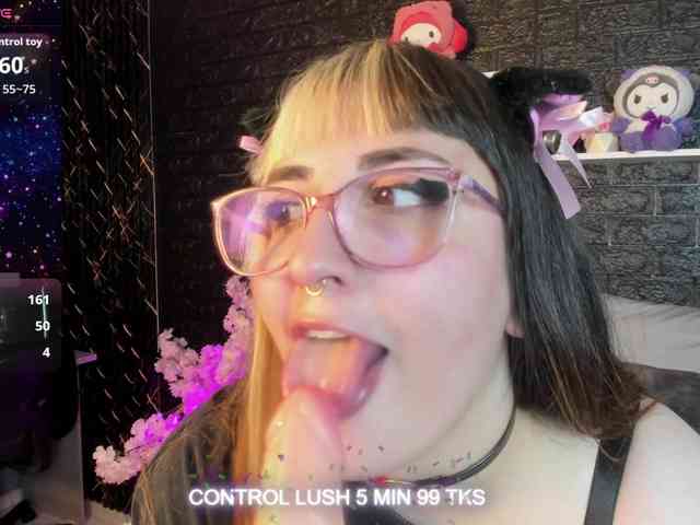 Модель: Gomory-kitty