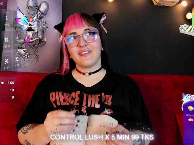 Модель: Gomory-kitty