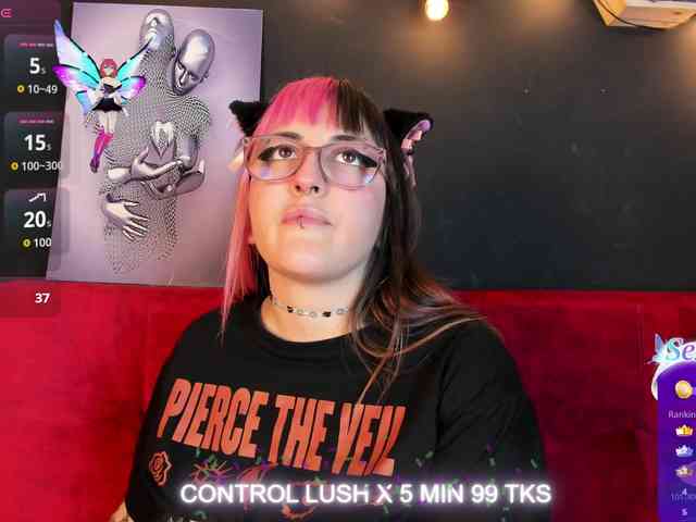 Модель: Gomory-kitty