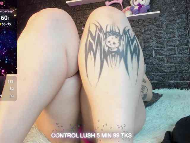 Модель: Gomory-kitty