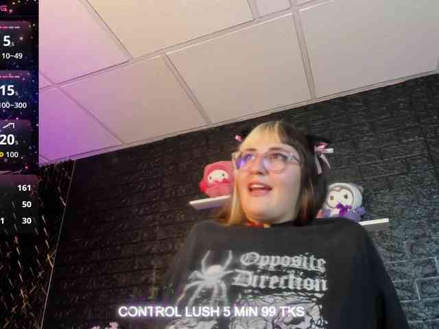 Модель: Gomory-kitty