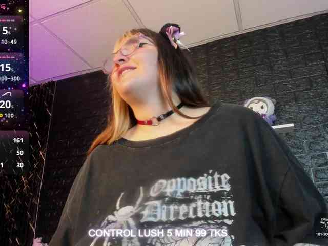 Модель: Gomory-kitty