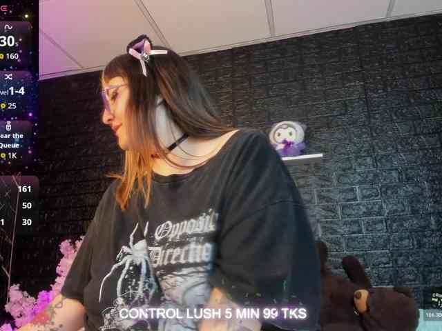 Модель: Gomory-kitty