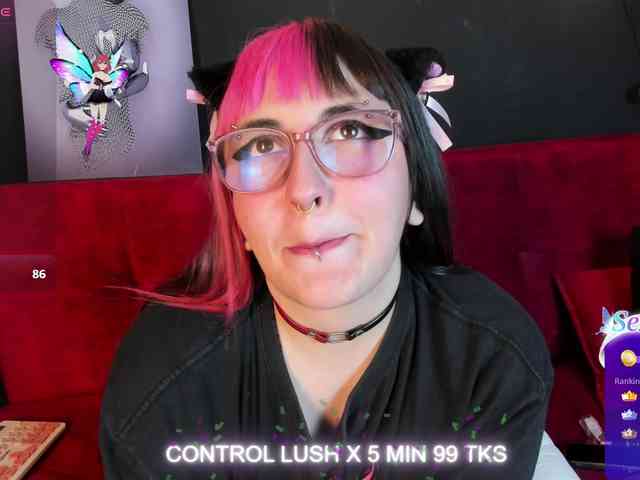 Gomory-kitty webcam