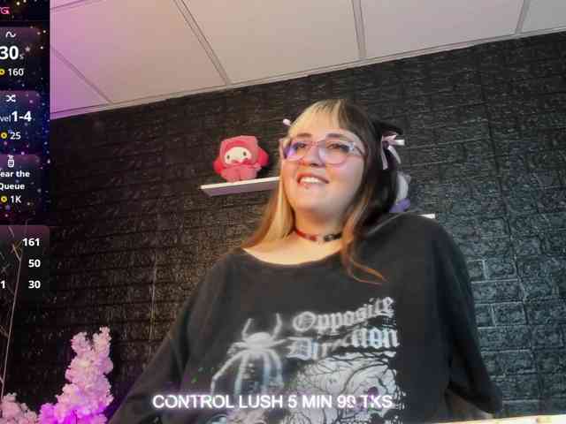 Модель: Gomory-kitty