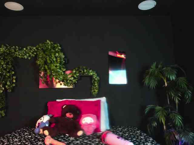 Gomory-kitty webcam