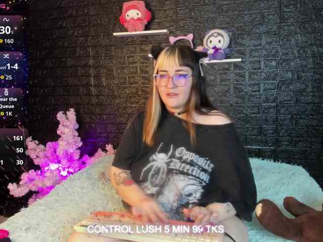 Модель: Gomory-kitty