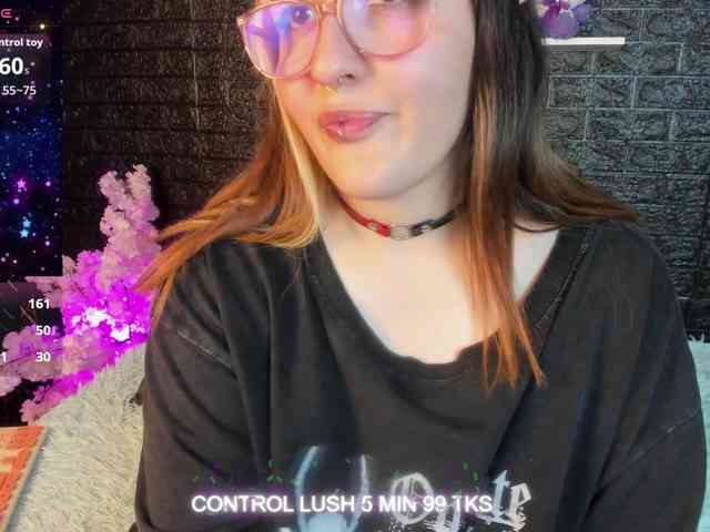 Модель: Gomory-kitty