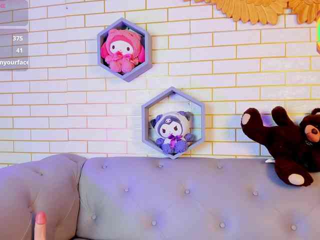 Gomory-kitty webcam
