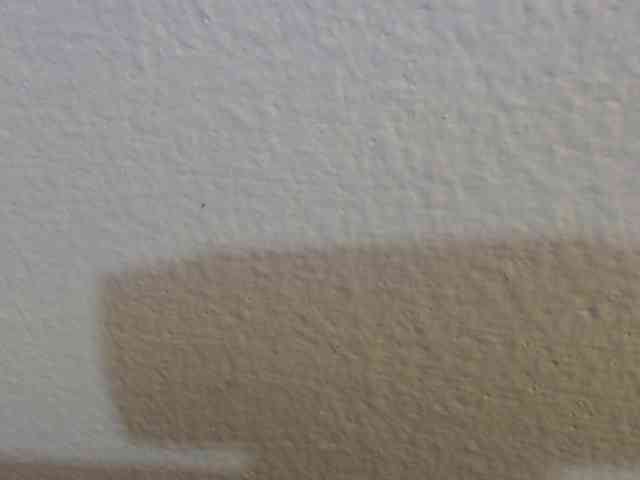 adaracute69 webcam
