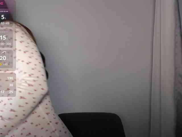 HoneyMira webcam