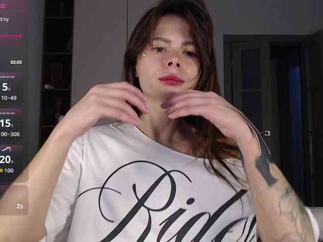 HoneyMira webcam