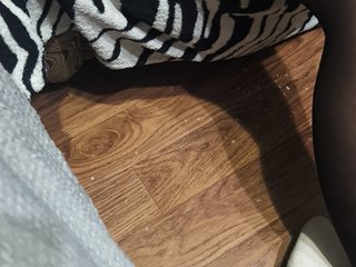BerryandMister Porn Show