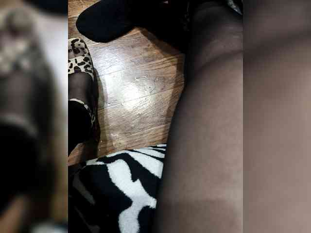 BerryandMister webcam