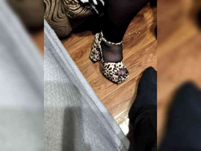 BerryandMister webcam