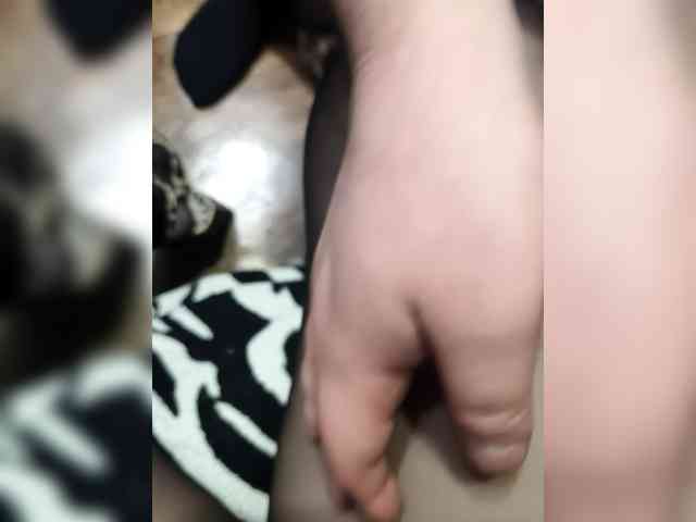 BerryandMister webcam