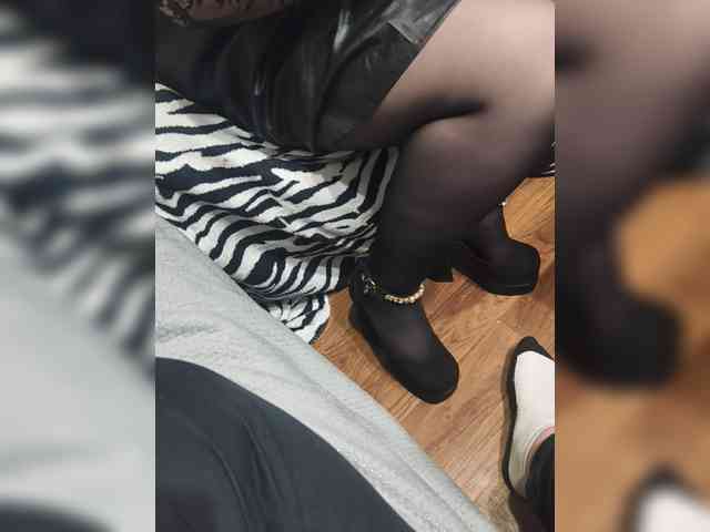 BerryandMister webcam
