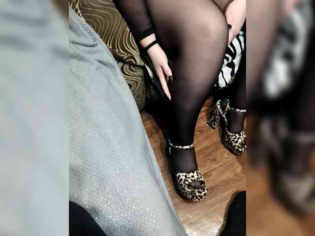 BerryandMister webcam