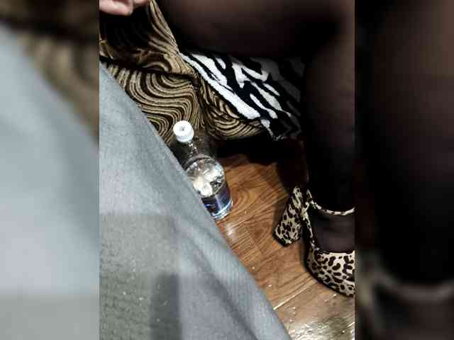 BerryandMister webcam