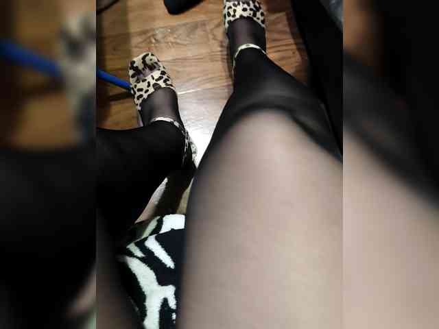 BerryandMister webcam