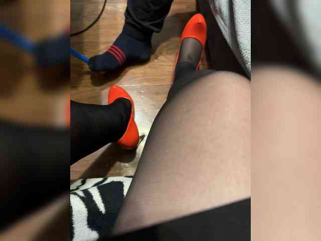 BerryandMister webcam