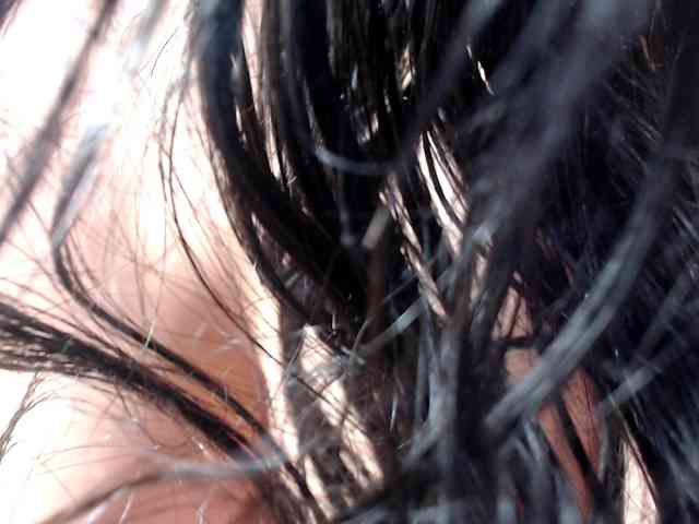 Sabrina08 webcam
