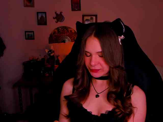 LanaSensitive webcam