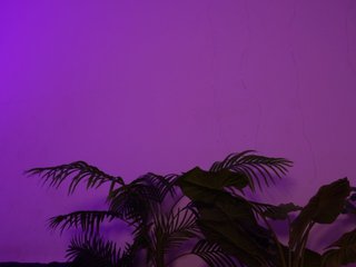 MilaFlame Porn Show
