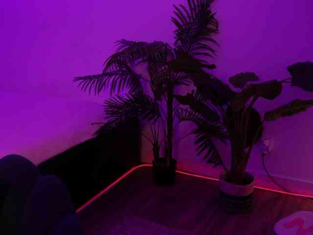MilaFlame webcam
