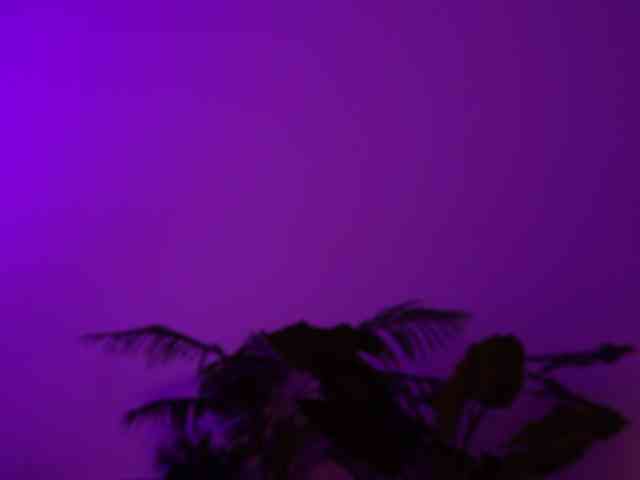 MilaFlame webcam