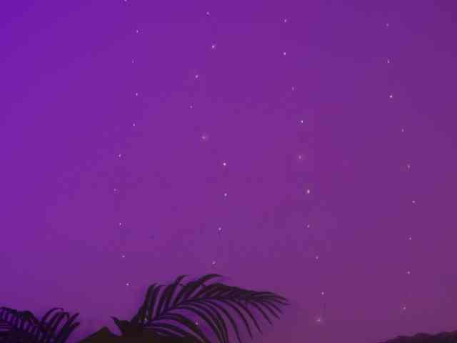 MilaFlame webcam