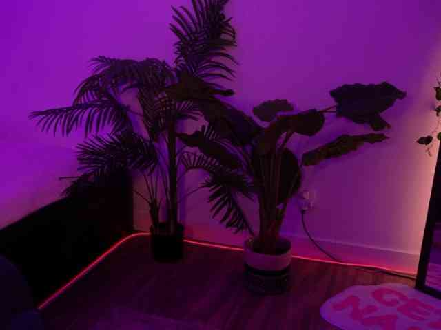 MilaFlame webcam
