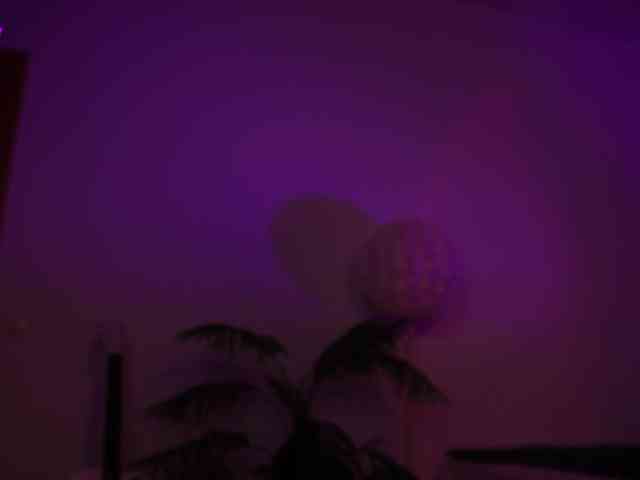 MilaFlame webcam