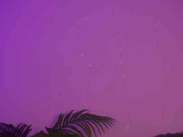 MilaFlame webcam