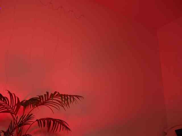 MilaFlame webcam