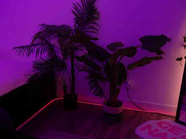 MilaFlame webcam