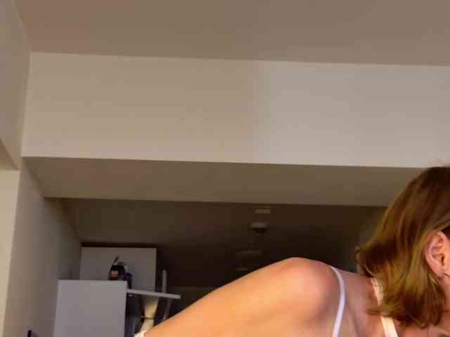 AngelicFenix