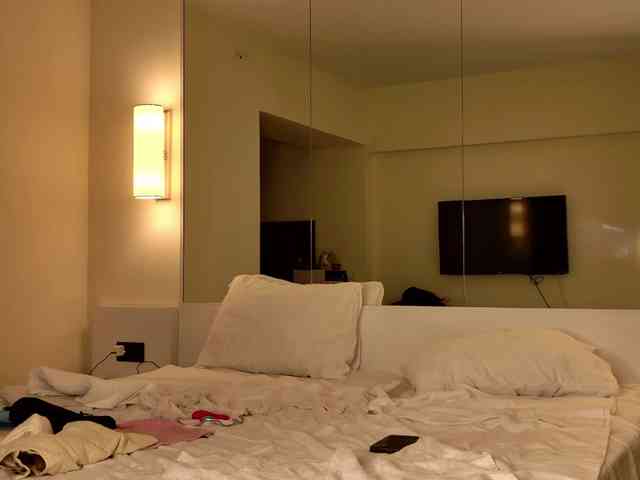 AngelicFenix webcam
