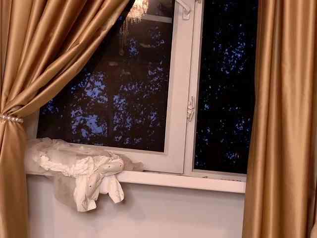 AngelicFenix webcam