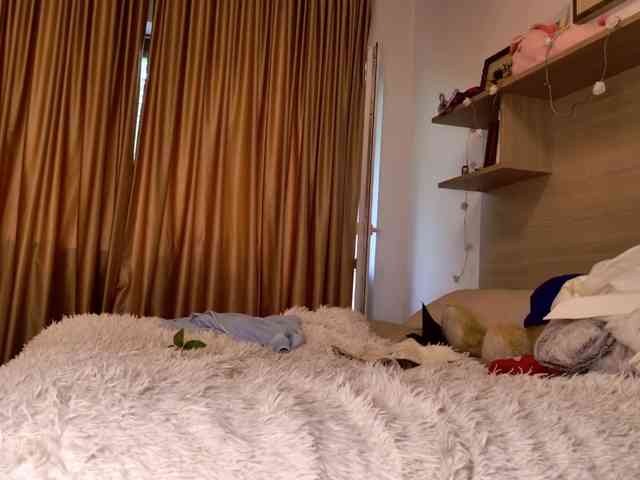 AngelicFenix webcam
