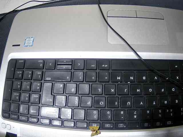 chubby-cherry webcam