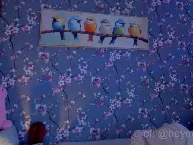 heymartina webcam