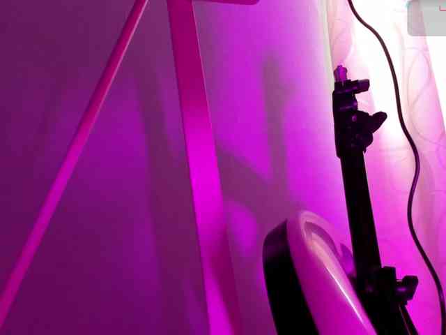 Nessa2wine Live Webcam on BongaCams