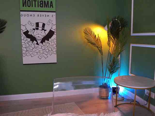 MistyReeds webcam