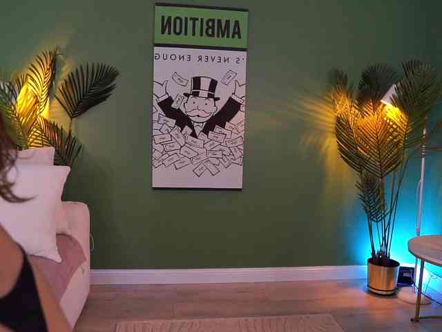MistyReeds webcam