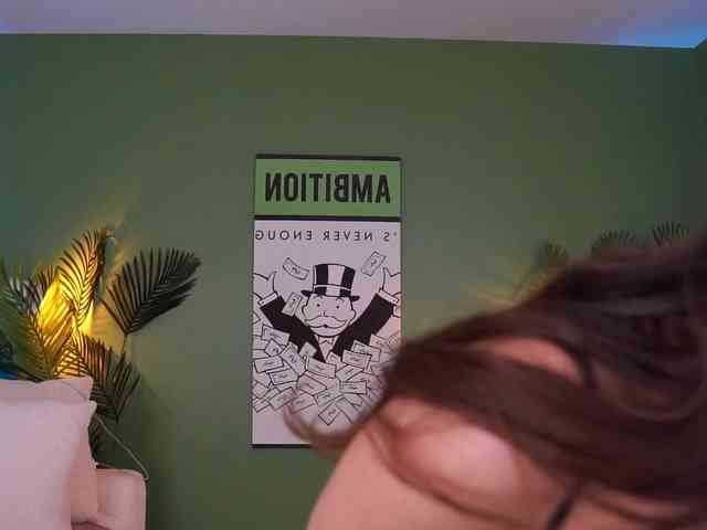 MistyReeds webcam