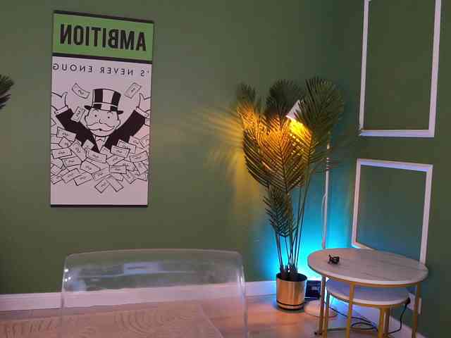 MistyReeds webcam