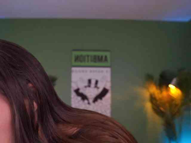 MistyReeds webcam
