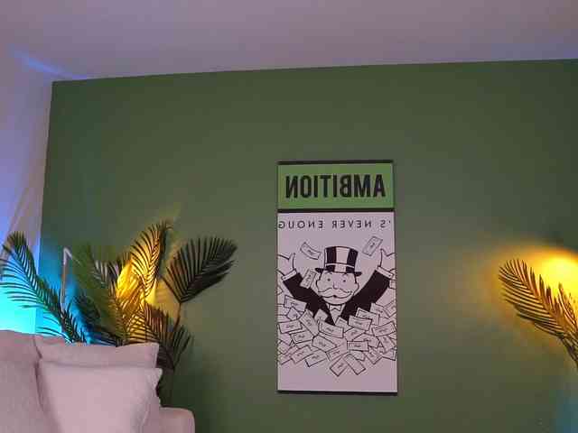 MistyReeds webcam