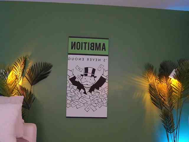 MistyReeds webcam